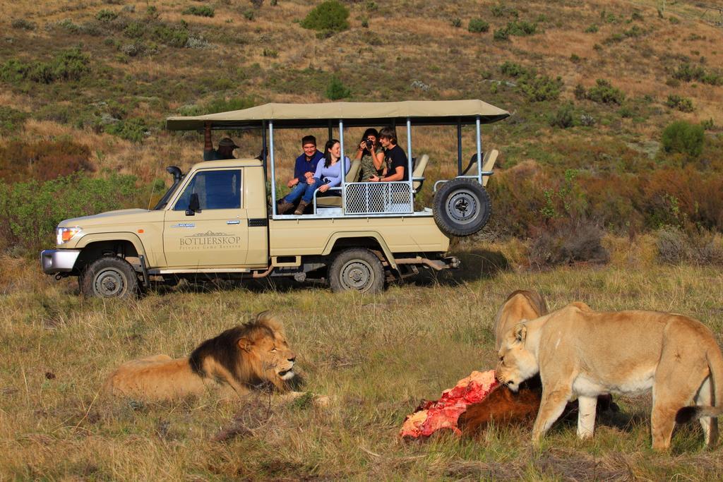 Botlierskop Private Game Reserve Reebok Zewnętrze zdjęcie