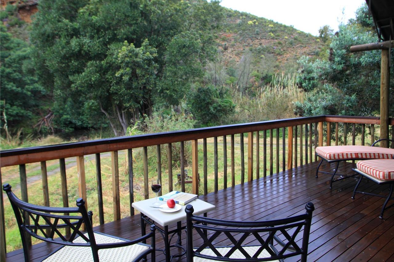 Botlierskop Private Game Reserve Reebok Zewnętrze zdjęcie